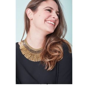 Stella and Dot Pegasus Necklace